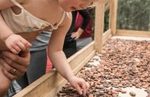 Rainforest Chocolate Tour from La Fortuna