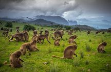 Hiking to the simien mountains 