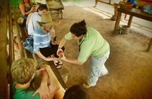 Class II-III Rafting and Chocolate Tour from La Fortuna