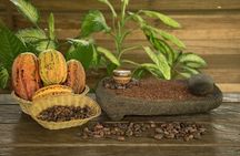 Class II-III Rafting and Chocolate Tour from La Fortuna