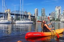 Evening Vancouver Kayak Tour 