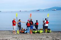 Evening Vancouver Kayak Tour 