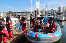 Vancouver City and Seals Scenic Boat Tour by Vancouver Water Adventures