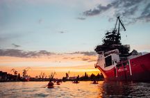 Islands of Gdansk Private Kayak Tour