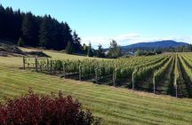 Private Local Libations Tour, Victoria, BC