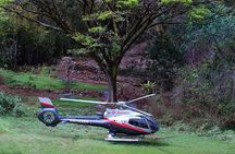 Luxury Helicopter Experience with Hana Rainforest Landing