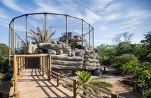 Birdwatching National Aviary Cartagena de Indias
