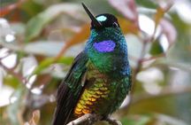 Birdwatching National Aviary Cartagena de Indias