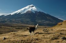 Cotopaxi National Reserve Hiking Day Trip