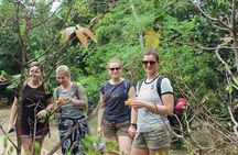 Private Mekong Delta Tour 2 Days 1 Night