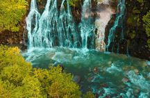 Private Car Tour of Furano and Biei in Hokkaido with Local Guide