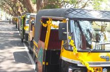 Cochin Private guided Tuk Tuk tours with pick up from cruise ships