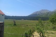 Private National Park Lovcen with food and wine tasting
