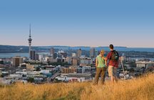 Auckland Private Tour including Airport Transfer
