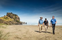 Private Auckland Luxury Tour