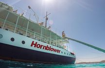 Discover GOZO, Comino, the BLUE LAGOON & Caves