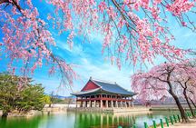 Full-day Customizable Private Seoul Highlight Tour