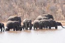 Victoria Falls - Chobe Combo