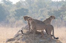 Victoria Falls - Chobe Combo