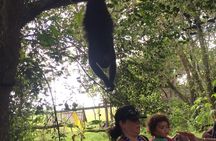 Howler Monkey Sanctuary and Kukumba Beach from Belize City