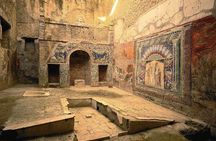 Guided tour of Herculaneum