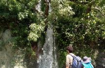 Trekking in Morocco / Atlas Mountains and Sahara Trek (5days)