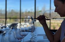 Private Wine Tasting Tour from Santa Barbara