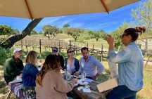 Small-Group Wine Tour in Santa Barbara to Exclusive Vineyards