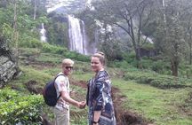kandy waterfalls day tour