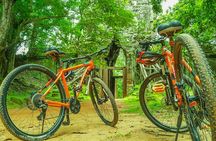 Angkor Wat Cycling Tour (20-25 km)
