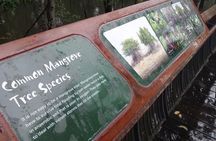 Nature Tour