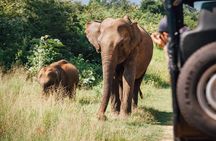 One Day Safari Tour to Both Yala and Bundala National Parks