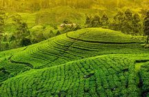 Kandy and Pinnawala Private Day Tour from Colombo