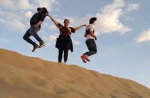Premium Desert Safari, Barbeque, 3 Shows, Camel ride, Sand-board at Bedouin camp