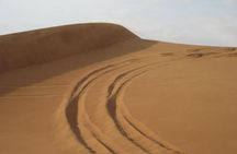 Premium Desert Safari, Barbeque, 3 Shows, Camel ride, Sand-board at Bedouin camp