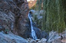Half-Day to Ourika Valley