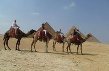 Private Day Tour to Giza Pyramids Sphinx Memphis Saqqara and Dahshur Pyramids