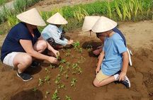 Countryside Tour of Hoi An, Basket Boat, Buffalo ride, Farming with local Farmer
