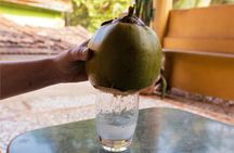 Village Tour and Goan Portuguese Fusion Meal with a Local