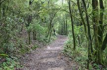 Shivapuri National Park Day Hiking - Budanilkantha, Nagi Gumba, Sundarijal Hike