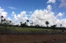 2 Hours QUAD BIKING in the Palm Oasis (Palmerie) MARRAKECH 