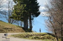 Cycling & Adventure One day tour 59 euro 