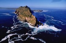 Private Cape Peninsula + Kirstenbosch Garden Full Day Guided Tour