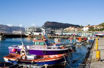 Brilliant Fun Private Tours to Cape Point - Avoid the Lines - Avoid the Crowds