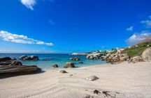 Private Cape Peninsula + Kirstenbosch Garden Full Day Guided Tour