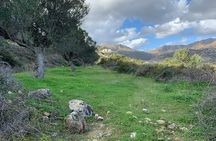 Karpathos Valley Walk in Pigadia - easy guided walking tour