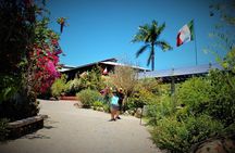 Vallarta Botanical Garden and Tequila Tasting from Puerto Vallarta