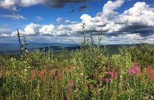 Husky Hike - Guided Nature Walk w/ Siberian Huskies
