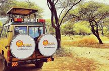5 days Safari to Tarangire, Ngorongoro, Serengeti and Lake Manyara