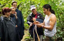 Private Waterfall, Rainforest, Chocolate Tour, A Historical Site